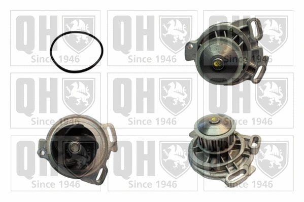 Water Pump, engine cooling (QCP1294)