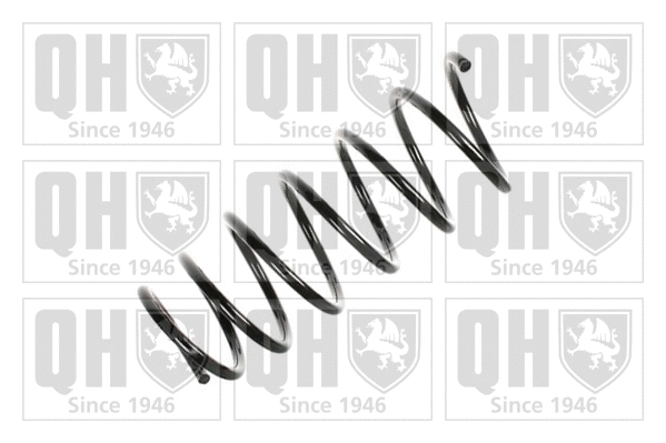 Suspension Spring (QCS7192)