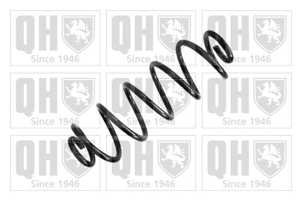 Suspension Spring (QCS6258)