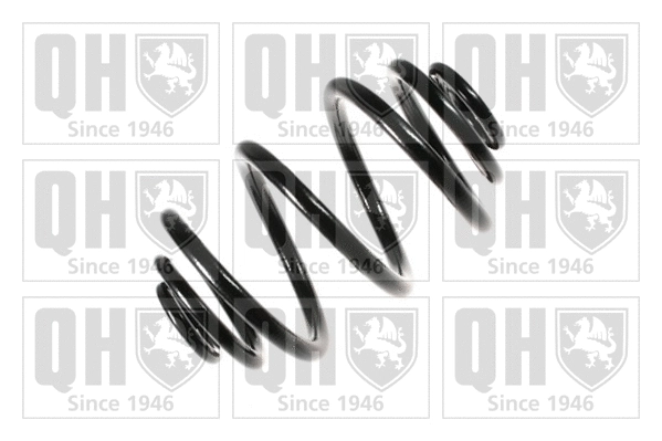 Suspension Spring (QCS7945)