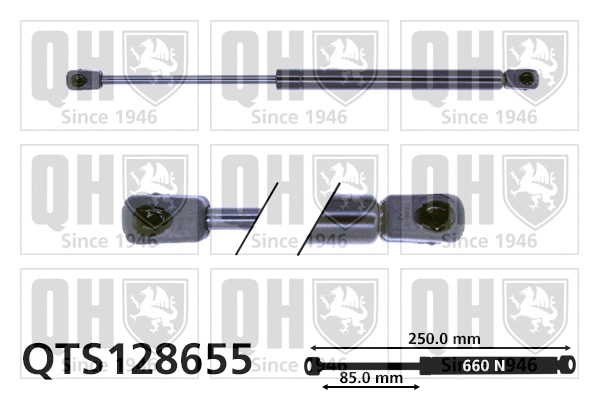 Gas Spring, bonnet (QTS128655)