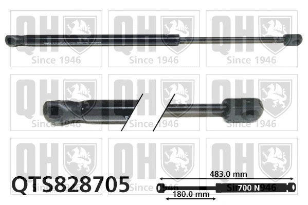 Gas Spring, boot/cargo area (QTS828705)