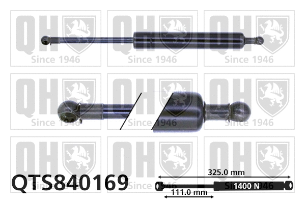 Gas Spring, boot/cargo area (QTS840169)