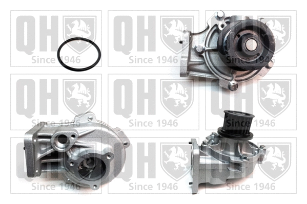 Water Pump, engine cooling (QCP3790BH)