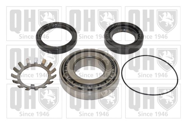 Wheel Bearing Kit (QWB747)