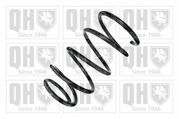Suspension Spring (QCS6310)