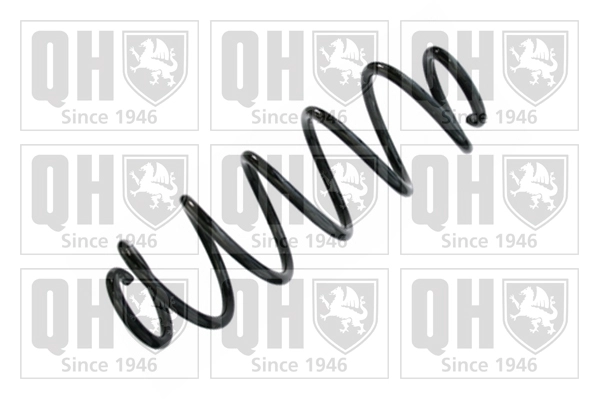 Suspension Spring (QCS8432)