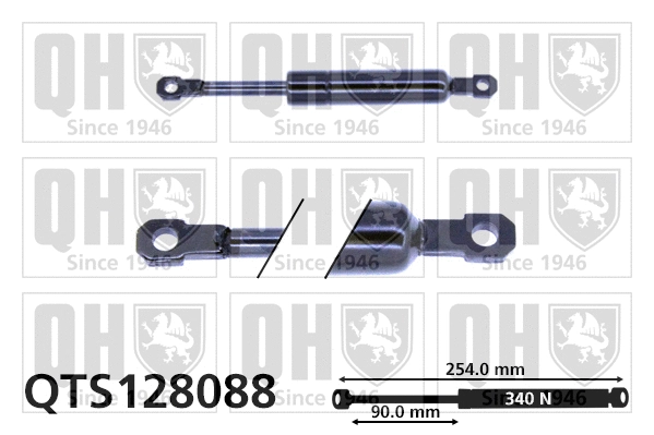 Gas Spring, boot/cargo area (QTS128088)