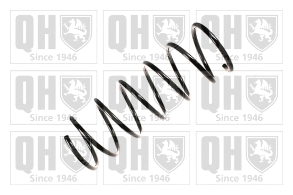 Suspension Spring (QCS6667)