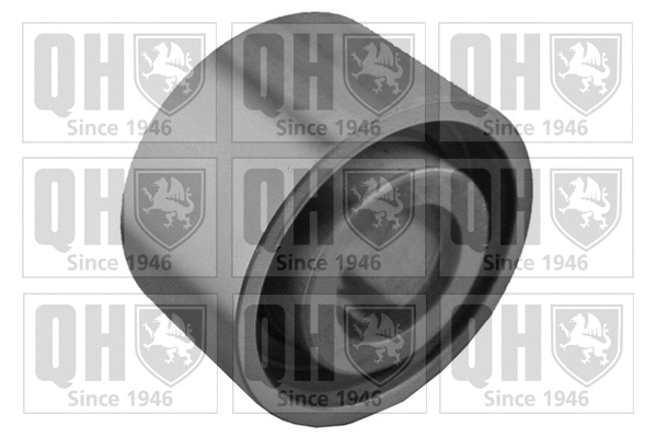 Deflection/Guide Pulley, timing belt (QTT1065)