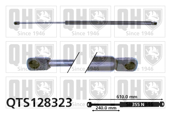 Gas Spring, boot/cargo area (QTS128323)