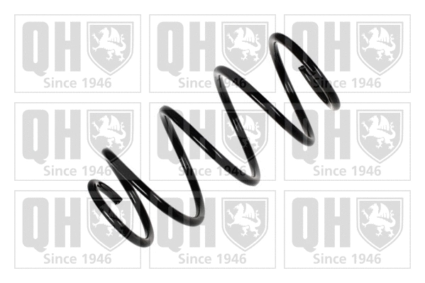 Suspension Spring (QCS7996)