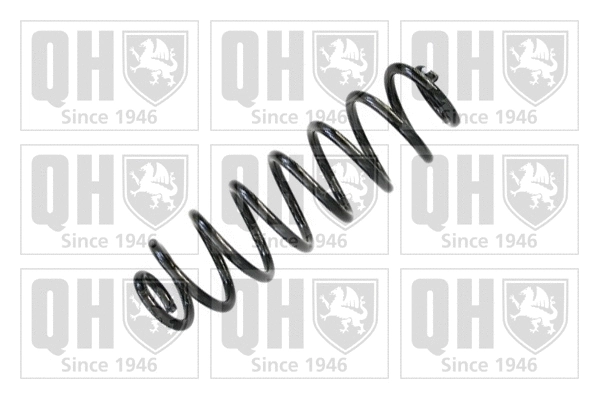 Suspension Spring (QCS6098)
