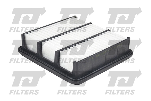 Air Filter (QFA0517)