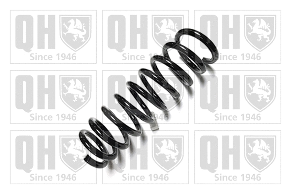Suspension Spring (QCS6021)