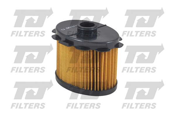 Fuel Filter (QFF0011)