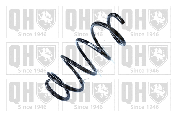 Suspension Spring (QCS5097)