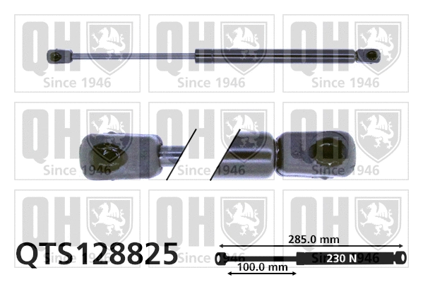 Gas Spring, boot/cargo area (QTS128825)