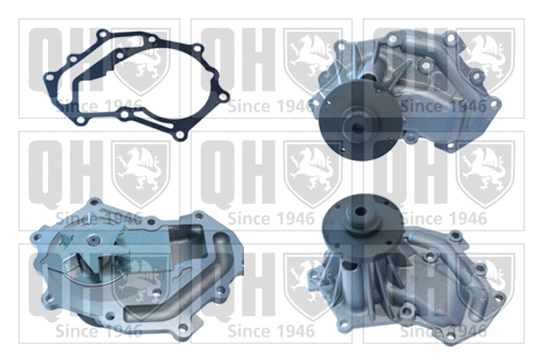 Water Pump, engine cooling (QCP3808)