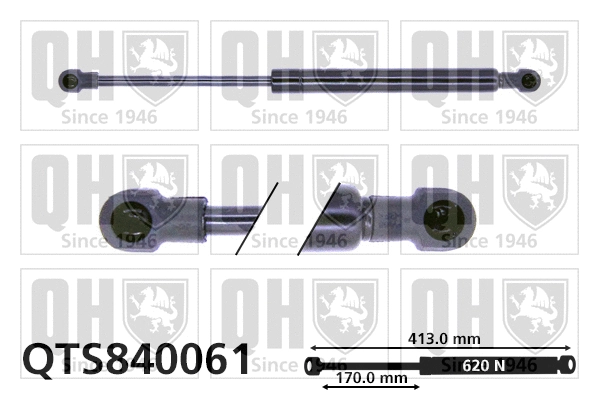 Gas Spring, boot/cargo area (QTS840061)