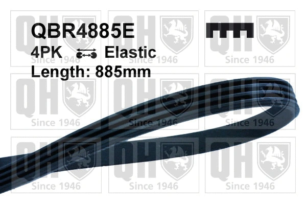 V-Ribbed Belt (QBR4885E)