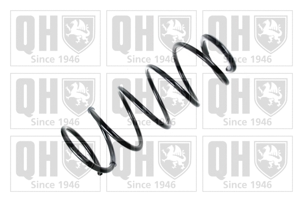 Suspension Spring (QCS5789)
