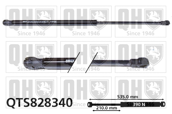 Gas Spring, boot/cargo area (QTS828340)