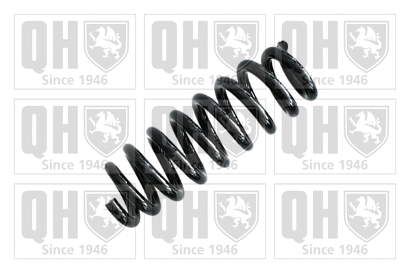 Suspension Spring (QCS7463)