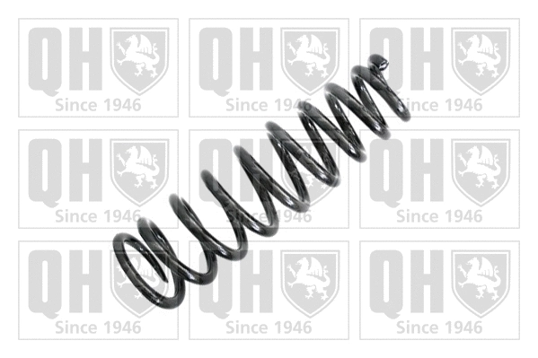 Suspension Spring (QCS6273)