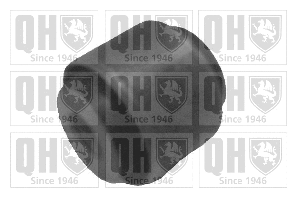 Mounting, control/trailing arm (EMS8007)