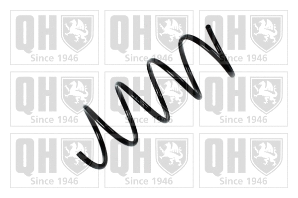 Suspension Spring (QCS7203)