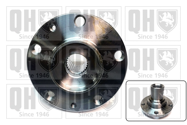 Wheel Hub (QWH165)