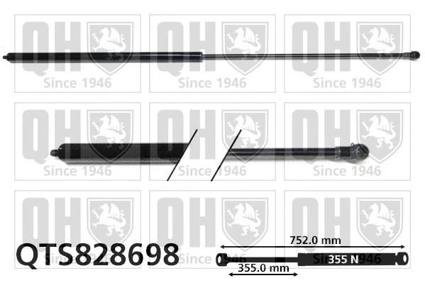 Gas Spring, bonnet (QTS828698)
