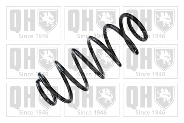 Suspension Spring (QCS6281)