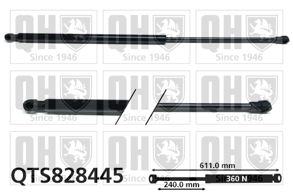 Gas Spring, boot/cargo area (QTS828445)