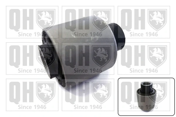 Mounting, control/trailing arm (EMS1989)