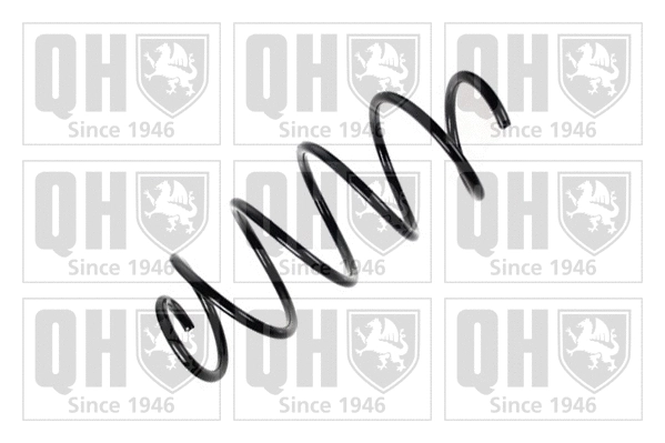 Suspension Spring (QCS7852)