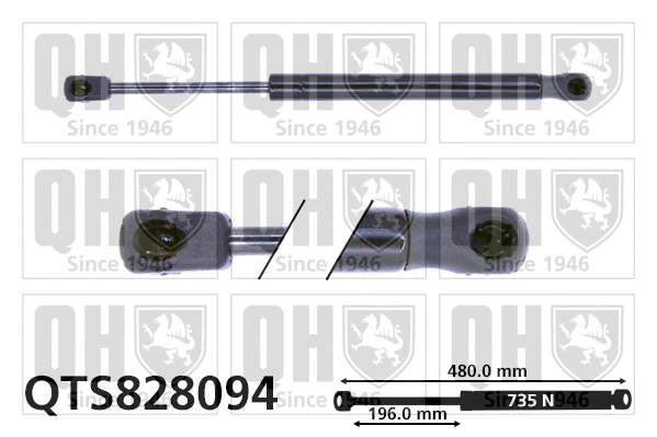 Gas Spring, boot/cargo area (QTS828094)