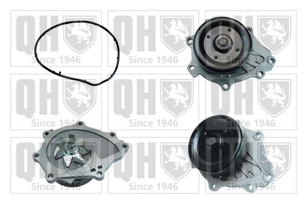 Water Pump, engine cooling (QCP3668)