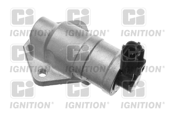 Idle Control Valve, air supply (XICV19)