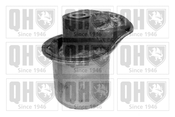 Mounting, control/trailing arm (EMS2423)