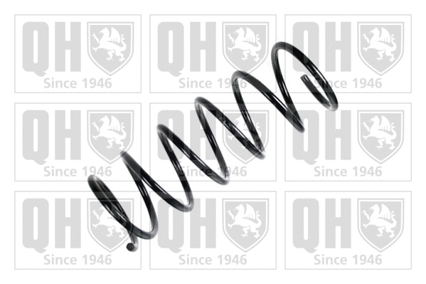 Suspension Spring (QCS5979)