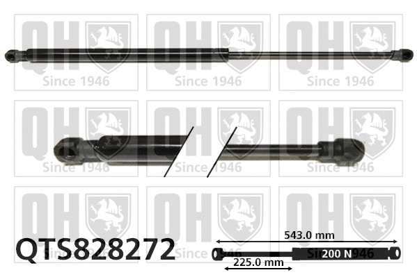 Gas Spring, rear window (QTS828272)
