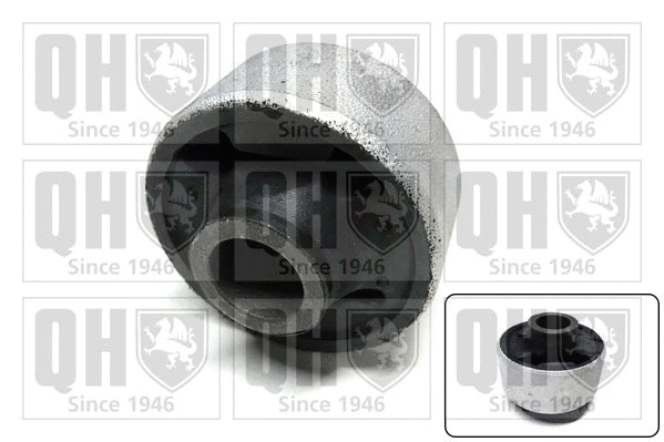 Mounting, control/trailing arm (EMS8046)
