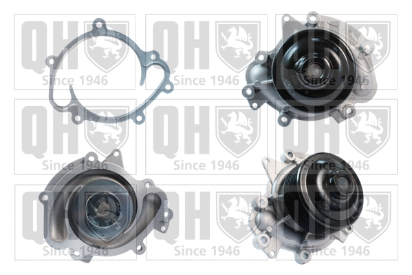 Water Pump, engine cooling (QCP3660)