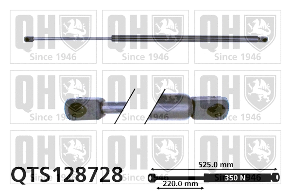 Gas Spring, boot/cargo area (QTS128728)