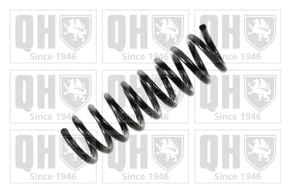 Suspension Spring (QCS7055)