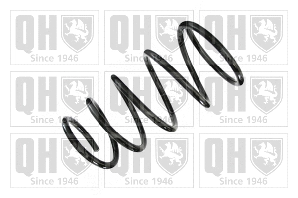 Suspension Spring (QCS5791)