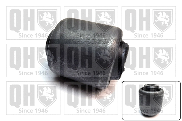 Mounting, control/trailing arm (EMS8686)