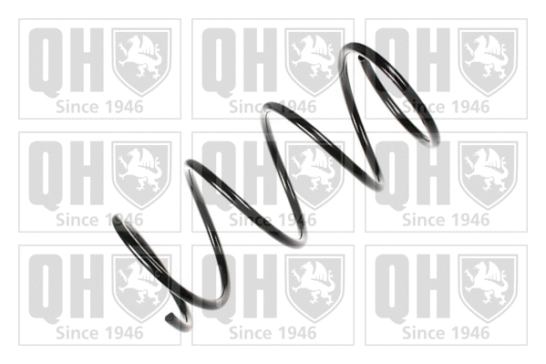 Suspension Spring (QCS7199)